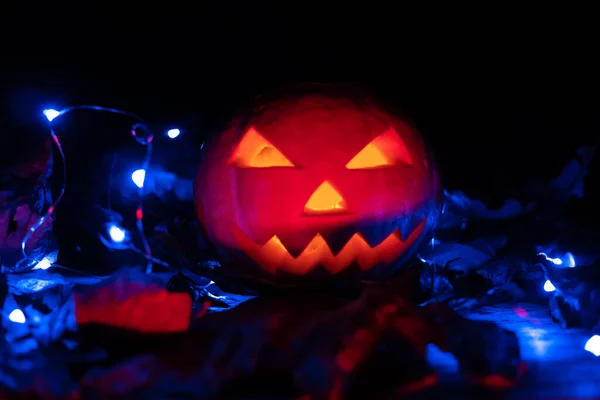 Светящаяся Тыква Темноте Голубыми Огнями Осенними Листьями Фоном Хэллоуина Пространство — стоковое фото