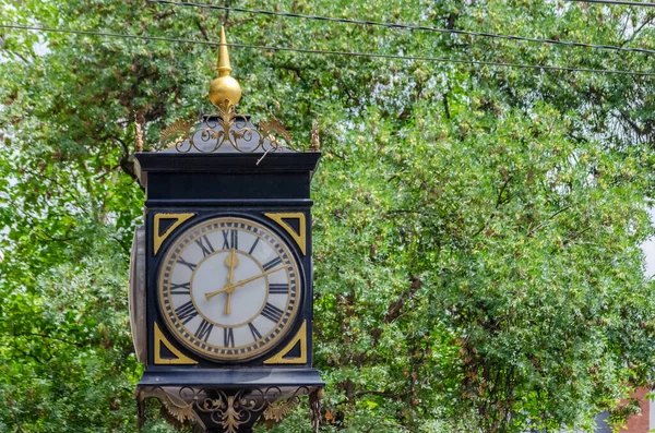 Vacker Gammal Gatuklocka Bakgrunden Gröna Träd Solig Dag Tbilisi Titta — Stockfoto