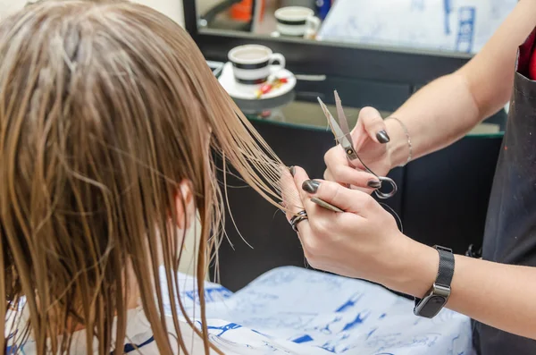 Cabeleireiro Cortar Cabelo Loiro Salão Cabeleireiro Processos Corte Salão Cabeleireiro — Fotografia de Stock