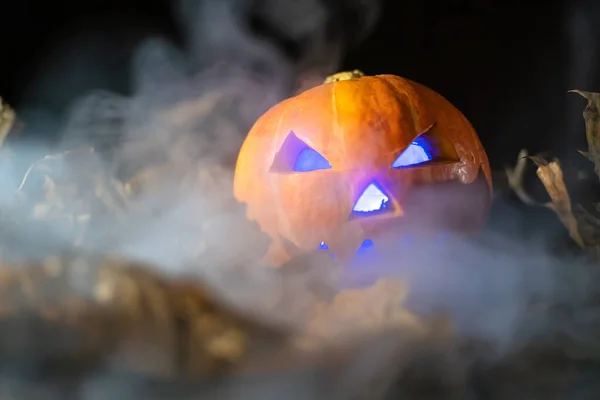 Ragyogó Tök Sötétben Kék Fényekkel Őszi Levelekkel Füstben Gyönyörű Halloween — Stock Fotó