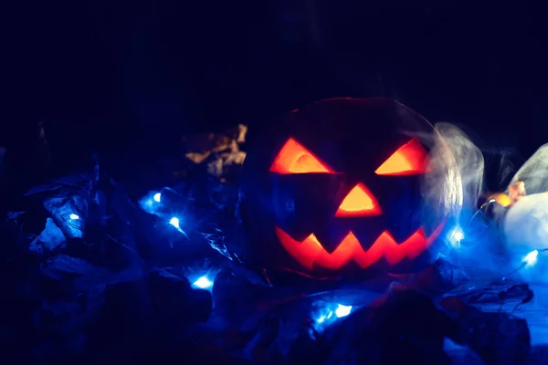 Calabaza Brillante Oscuridad Con Luces Azules Hojas Otoño Humo Hermoso —  Fotos de Stock