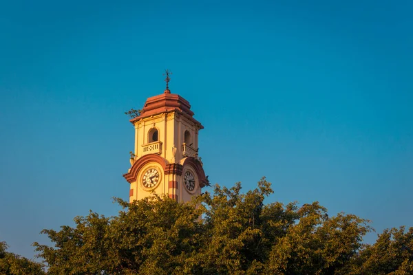 Colombo 'daki klasik saat kulesinin akşam manzarası, Sri Lanka büyük bir ağacın arkasında belirdi. Burası Sri Lanka 'nın tarihi yerlerinden biri..