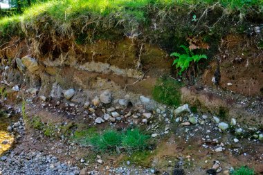Buzul kasası ve kayalık kil jeolojisini gösteren nehir kesimi seti.
