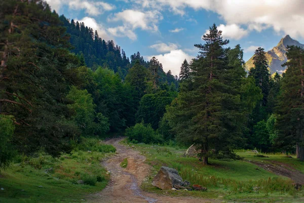Camino Rocoso Montaña Que Conduce Través Del Bosque Los Picos —  Fotos de Stock