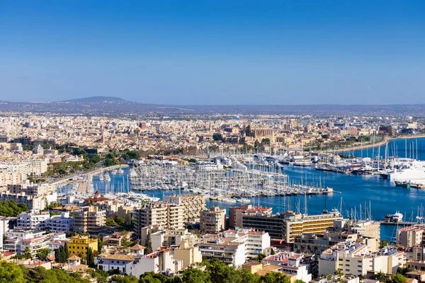 Stadsbilden Palma Mallorca Vacker Utsikt Över Palma Mallorca Balearerna Mallorca — Stockfoto