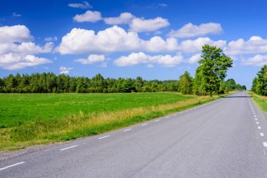 Bulutlar ile mavi gökyüzünün arka planda asfalt yol. Saaremaa adasının tipik manzarası, Estonya