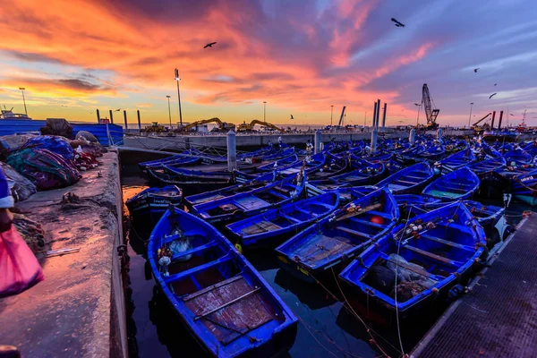 Coucher De Soleil Au Port Dessaouira Photographie