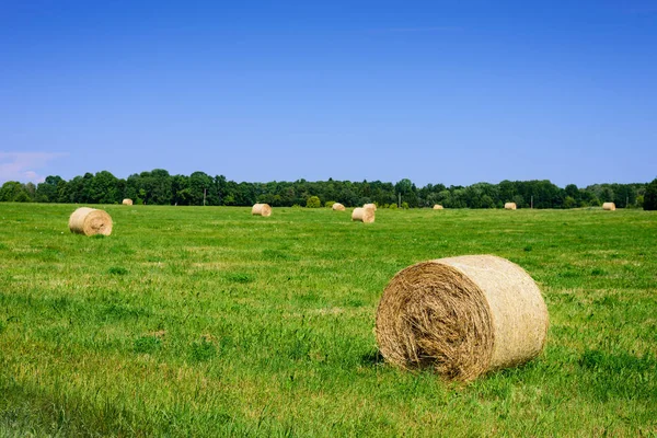 Bellissimo Prato Con Erba Verde Fieno Rotolo Sfondo Cielo Blu — Foto Stock