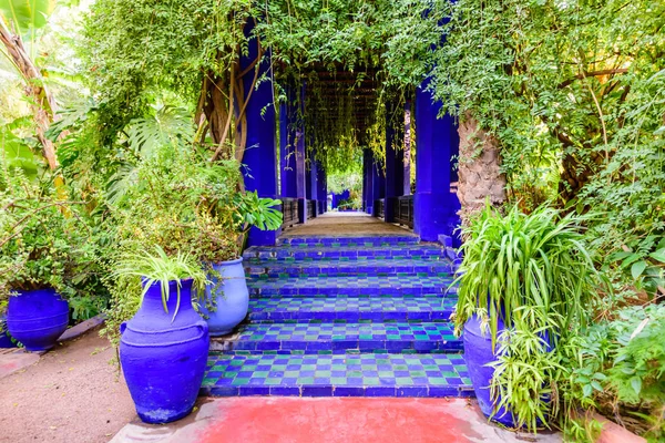 マラケシュ モロッコ 2018年12月10日 モロッコの観光 美しいマジョレール庭園は マラケシュの植物園 熱帯庭園 芸術家の風景庭園です — ストック写真