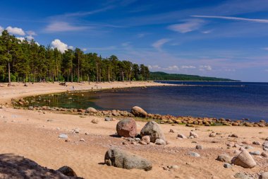 Baltık deniz kıyısı. Finlandiya Körfezi'nde güzel kumlu plaj, Leningrad bölgesi, Rusya