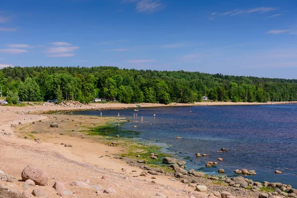 Baltık Deniz Kıyısı Finlandiya Körfezi Nde Güzel Kumlu Plaj Leningrad — Stok fotoğraf