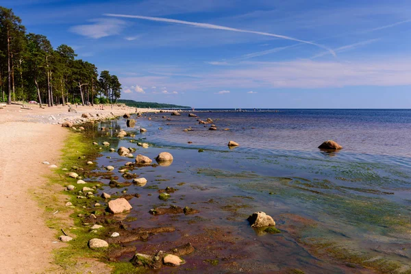 Balti Tenger Partján Finn Öböl Gyönyörű Homokos Strandja Leningrád Régió — Stock Fotó