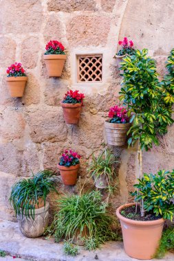 Saksılarla süslenmiş duvar. Valldemossa, eski şehir. Mallorca adasının popüler turistik yeri, İspanya
