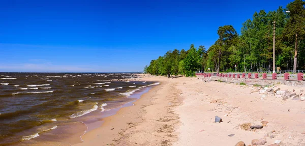 Finska Vikens Kust Den Pittoreska Kusten Östersjön Nära Staden Zelenogorsk — Stockfoto