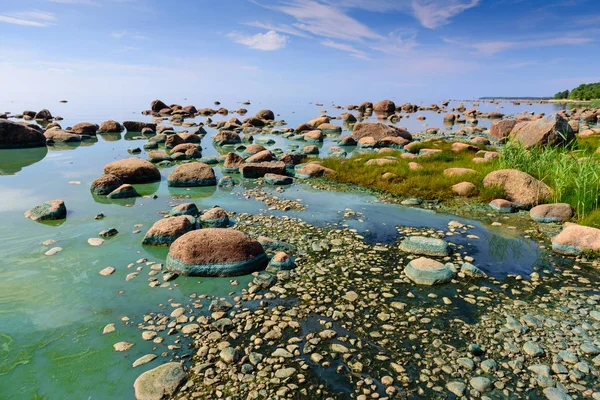 Baltic sea coast. Beautiful sea shore with blue water. Gulf of Finland coast, Lautaranta Cape, Leningrad region, Russia