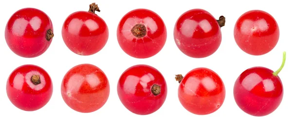 Isolierte Beeren Sammlung Roter Johannisbeeren Rote Johannisbeere Früchte Isoliert Auf — Stockfoto