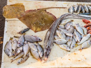 Essaouira kasabasında balık pazarı, Fas