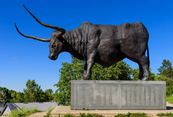 Rakvere Estonie Juin 2019 Visite Estonie Vue Panoramique Sur Statue — Photo