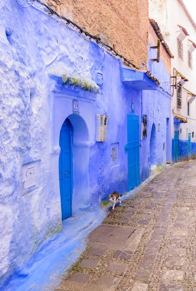 Chefchaouen, Fas - 13 Aralık 2018 Fas turu. Chefchaouen kasabasının güzel mavi Medina 'sı. Geleneksel mavi cadde