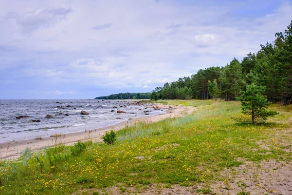 Resimli Baltık Sahili Lahemaa Ulusal Parkı Estonya — Stok fotoğraf
