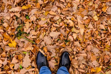 Yerdeki sarı yapraklar, insan ayağı, üst manzara, güzel sonbahar arka planı.