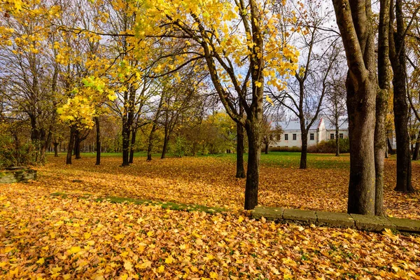 Park Miejski Narwie Widok Jesieni Estonia — Zdjęcie stockowe