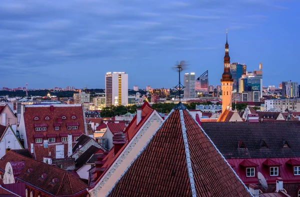 Tallinn Estland August 2019 Besichtigung Estlands Altstadt Von Tallinn Schöner — Stockfoto