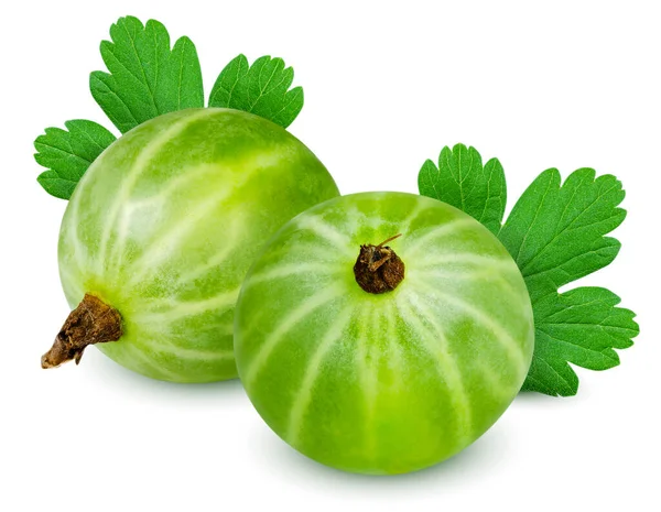Isolierte Stachelbeere Zwei Grüne Stachelbeeren Mit Blatt Isoliert Auf Weißem — Stockfoto
