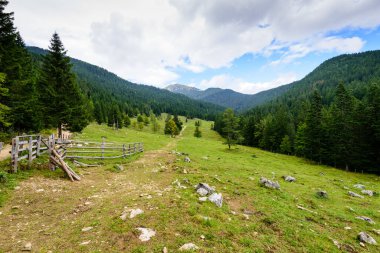Resimli Alp manzarası. Triglav Ulusal Parkı, Bohinj, Slovenya