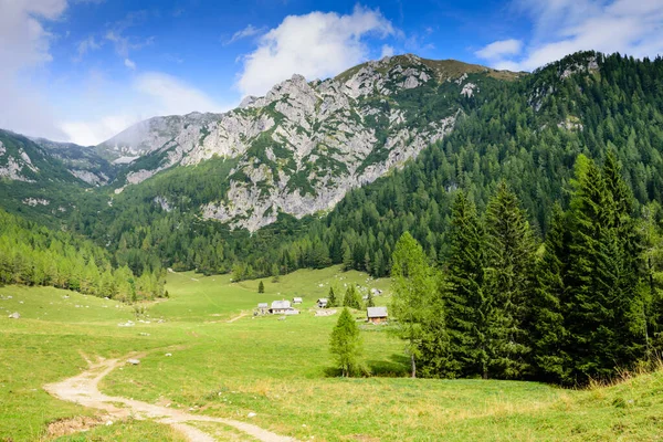 絵のように美しいアルプスの風景 トリグラフ国立公園 ボヒンジュ スロベニア — ストック写真
