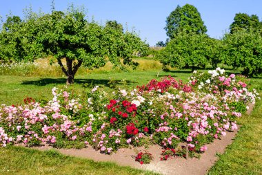 Sagadi malikanesinde çiçekli güzel bir bahçe, Lahemaa Ulusal Parkı, Estonya