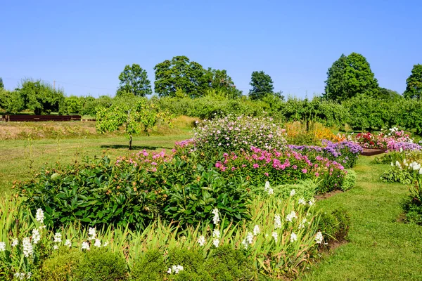 Hermoso Jardín Con Flores Mansión Sagadi Parque Nacional Lahemaa Estonia — Foto de Stock