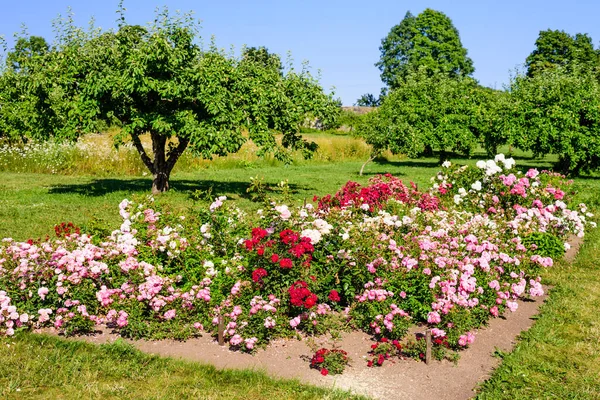 Hermoso Jardín Con Flores Mansión Sagadi Parque Nacional Lahemaa Estonia — Foto de Stock