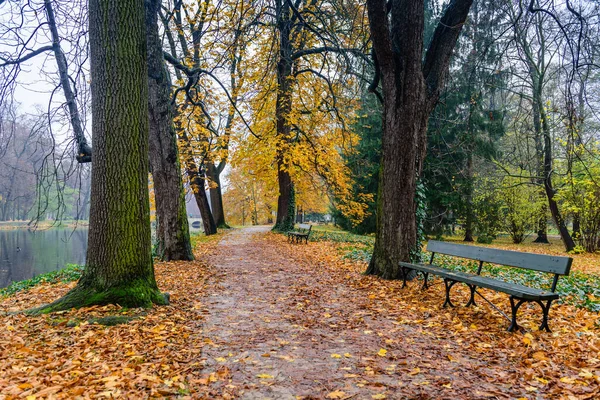 Красивая Осень Лазенки Кролевские Парк Варшава Польша — стоковое фото