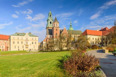 St. Stanislaw Katedrali ve St. Vaclav ve güneşli bir günde Wawel Tepesi 'ndeki kraliyet kalesi, Krakow, Polonya.