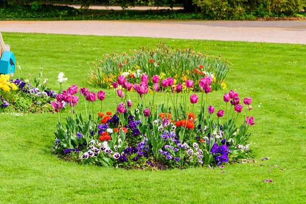 Gramado Verde Com Flores Parque Orangerie Parque Cidade Estrasburgo França — Fotografia de Stock