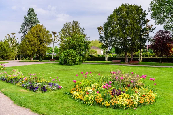 Césped Verde Con Flores Orangerie Park Ciudad Parque Estrasburgo Francia — Foto de Stock