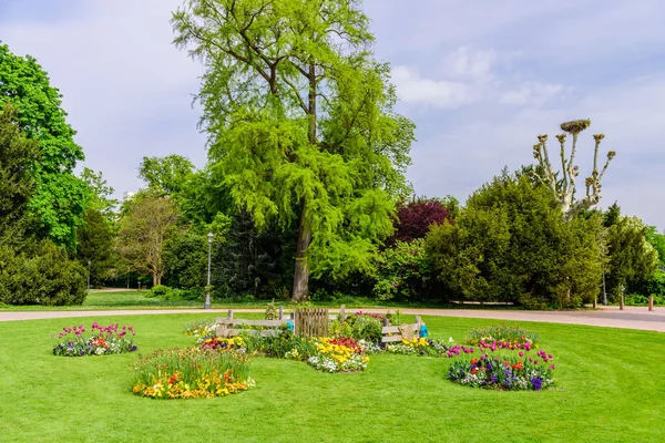 Césped Verde Con Flores Orangerie Park Ciudad Parque Estrasburgo Francia — Foto de Stock