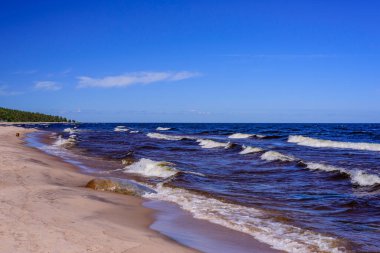 Ladoga Gölü. Rusya 'nın Leningrad bölgesinde Priozersk kasabası yakınlarındaki Ladoga Gölü' ndeki resimli kumlu plaj.