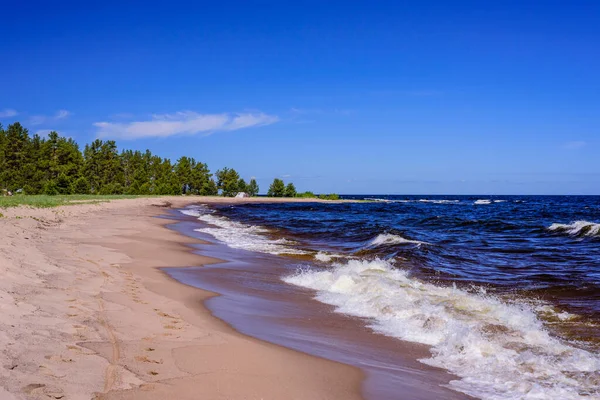 Ladoga Gölü Rusya Nın Leningrad Bölgesinde Priozersk Kasabası Yakınlarındaki Ladoga — Stok fotoğraf