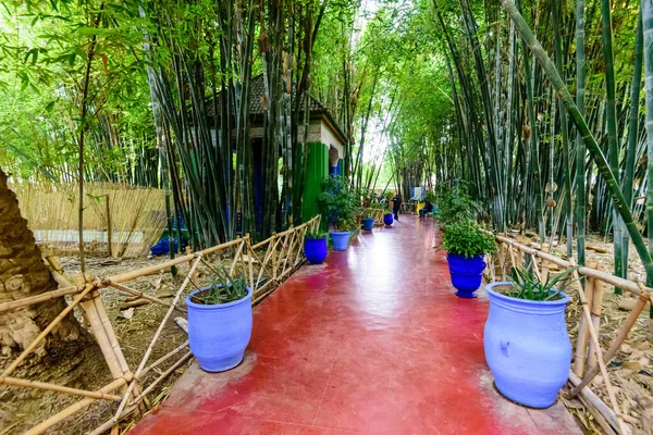 Marrakech Marocco Dicembre 2018 Visita Del Marocco Bellissimo Giardino Majorelle — Foto Stock