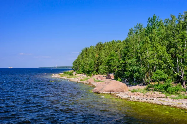 Baltık Denizi Finlandiya Körfezi Ndeki Resim Sahili Primorsk Kasabası Yakınlarındaki — Stok fotoğraf