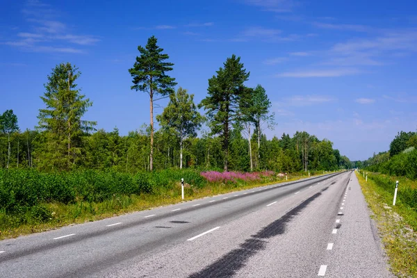Asphalt Road Background Blue Sky Clouds Typical Landscape Estonia — Stock Photo, Image