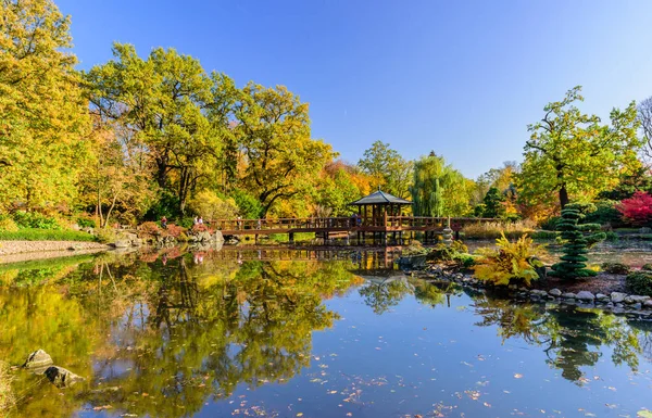 Wroclaw Polen Oktober 2019 Sightseeing Wroclaw Pittoresk Japansk Trädgård Hösten — Stockfoto