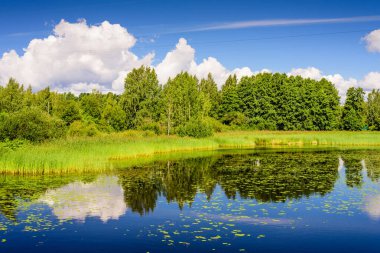 Güzel yaz deniz manzarası. Finlandiya Körfezi 'nin pitoresk kıyıları, Baltık denizi, Vysotsk kasabası, Leningrad oblast, Rusya
