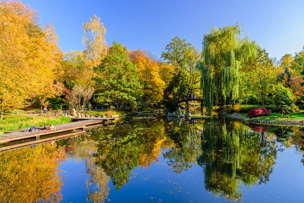 Wroclaw Polen Oktober 2019 Sightseeing Wroclaw Pittoresk Japansk Trädgård Hösten — Stockfoto