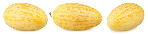 Geïsoleerde Meloen Verzameling Van Verschillende Hele Meloenen Geïsoleerd Witte Achtergrond — Stockfoto