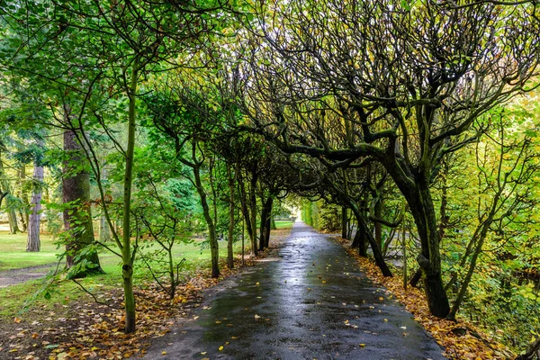 Oliwa Parc Est Beau Parc Ville Une Attraction Touristique Populaire — Photo