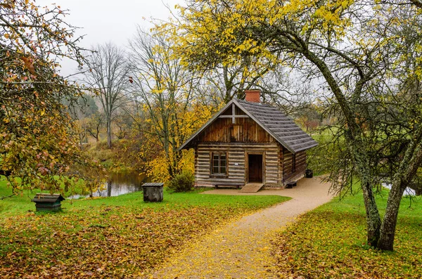 Сельская Латвия Осенний Пейзаж Национальном Парке Гауя Сигулда Латвия — стоковое фото