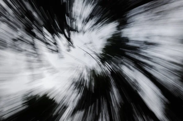 Vista Abstrata Topos Árvores Girando Contra Céu Preto Branco — Fotografia de Stock